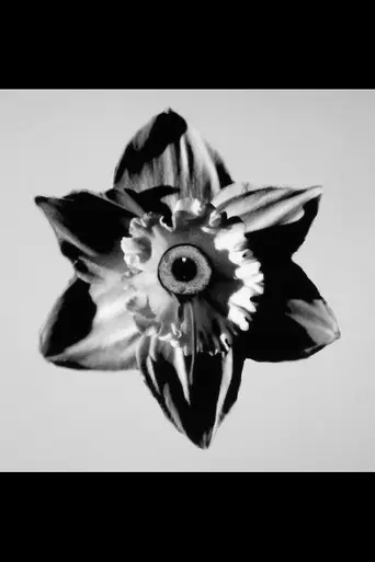 Das ist das Leben (2014)