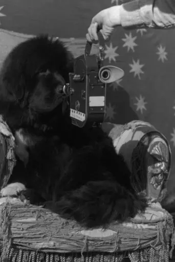 Gentle Giants (1995)