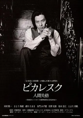 Picaresque (2002)