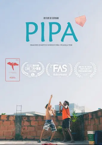 PIPA (2025)