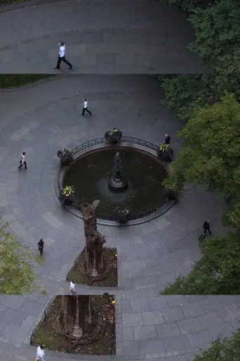 Surveillance (2010)