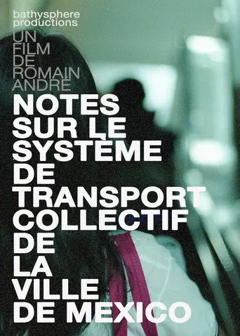 Notes sur le système de transport collectif de la ville de Mexico (2010)
