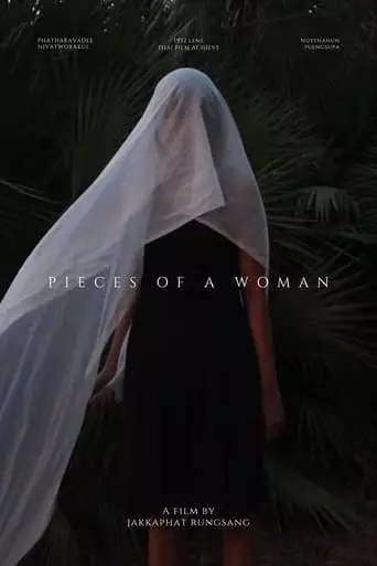 Pieces of a woman (2022)