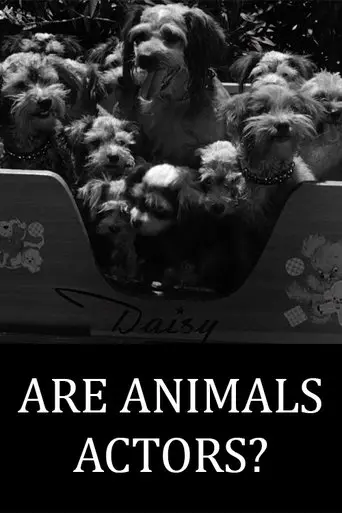 Are Animals Actors? (1945)