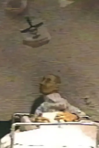 Megalomania of D (1998)