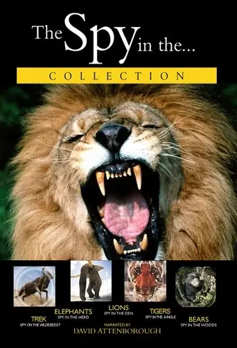 Lions: Spy In The Den (2000)