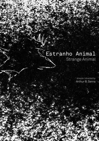 Estranho Animal (2019)