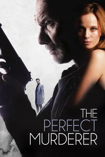 The Perfect Murderer (2017)