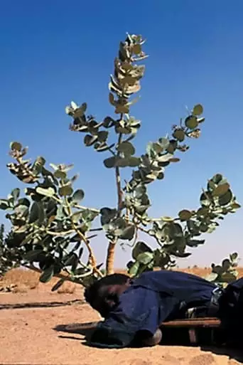Tchissète, The Mirror of the Tuareg (2004)