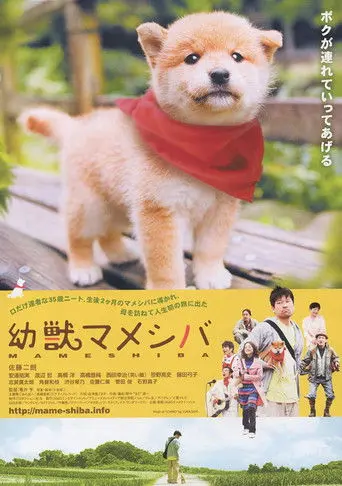 Mameshiba Cubbish Puppy (2009)