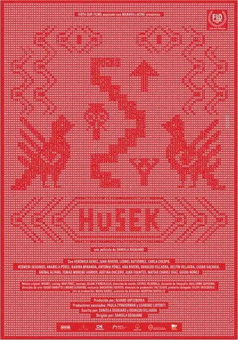 Husek (2021)