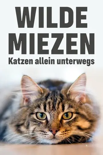 Wilde Miezen - Katzen Allein Unterwegs (2017)