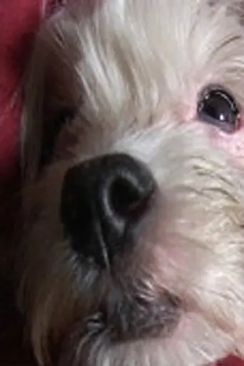Doggy Life (2011)