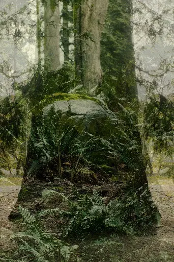 Vertical Remains (2026)