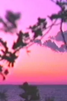 Voyage to the Center of the Phone Lines (1993)