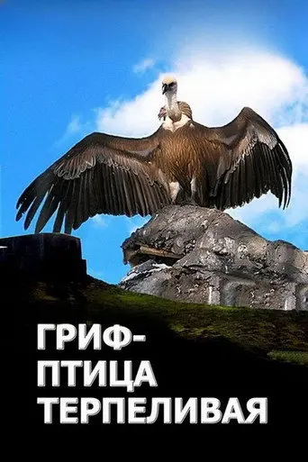 The Vulture Is a Patient Bird (1991)