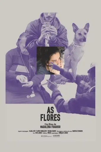 As Flores (2025)