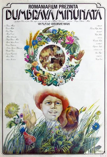 The Enchanted Grove (1980)