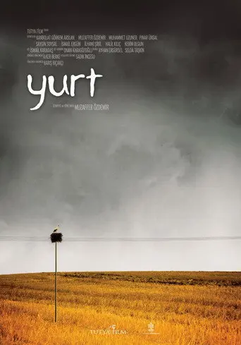Home (2011)