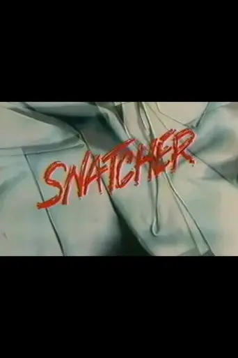 Snatcher (1991)