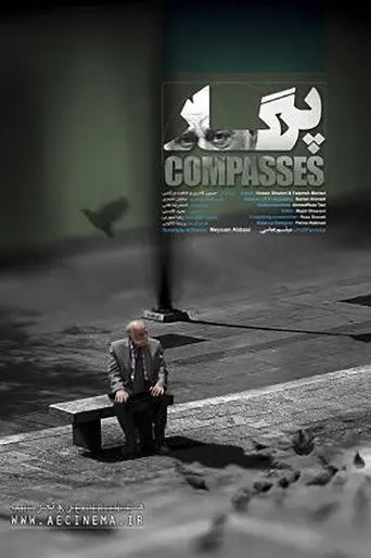 Compasses (2017)
