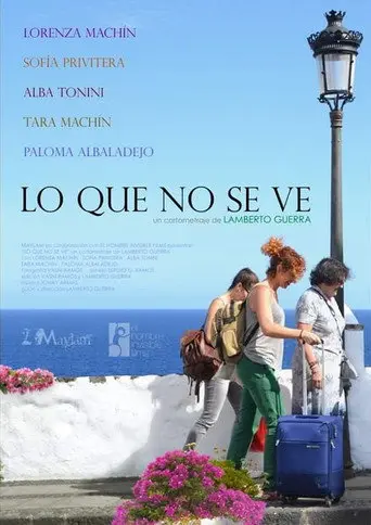 Lo que no se ve (2017)