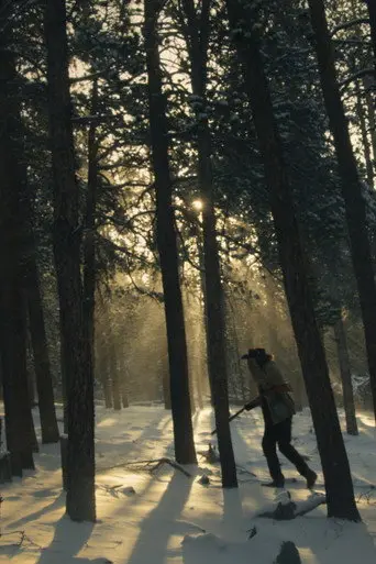 No Sun on Salvation (2026)