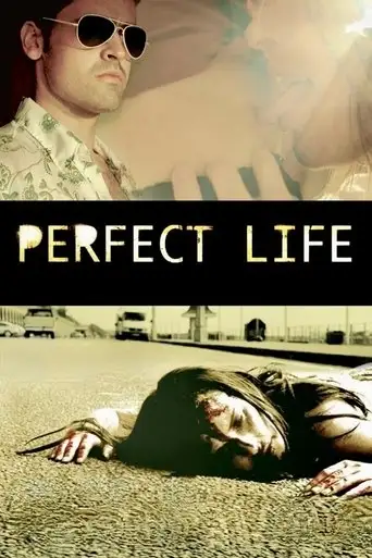 Perfect Life (2010)