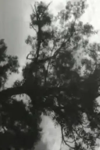 Clouds (2002)