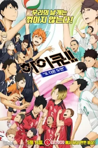 Haikyu!! Another Challenge (2020)