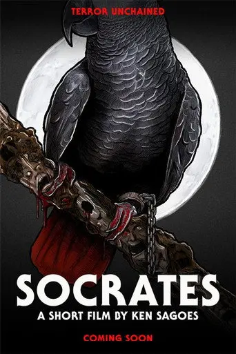 Socrates (2026)