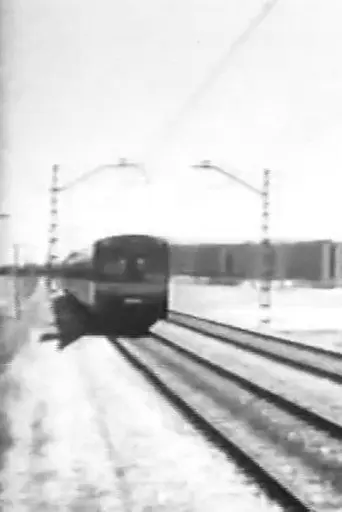 Live Fast (2009)