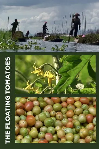 The Floating Tomatoes (2010)