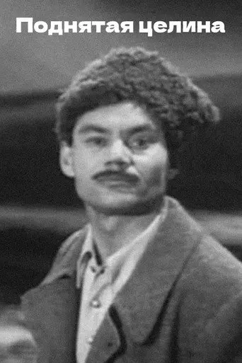 The New Land (1971)