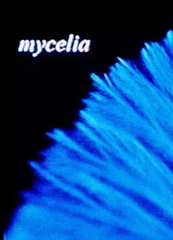 Mycelia (2023)
