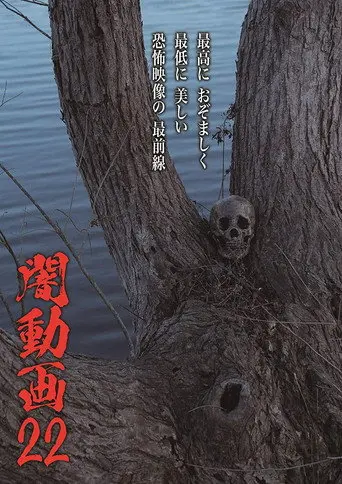 Tokyo Videos of Horror 22 (2019)