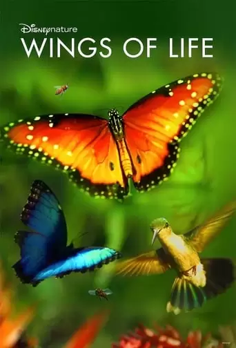 Disneynature: Wings Of Life (2011)