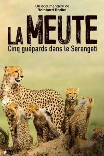 Die Funf Geparde - Gemeinsam Durch Die Serengeti (2019)