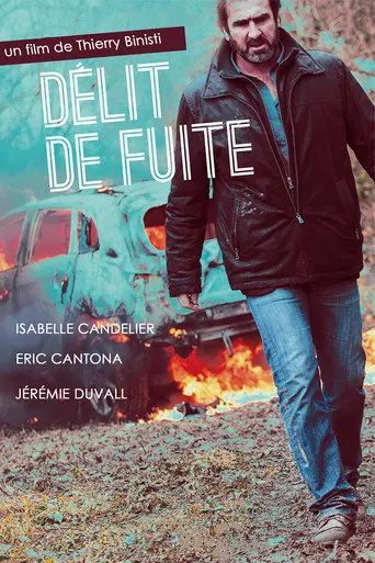Délit de fuite (2013)