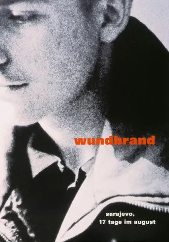 wundbrand - sarajevo, 17 tage im august (1994)