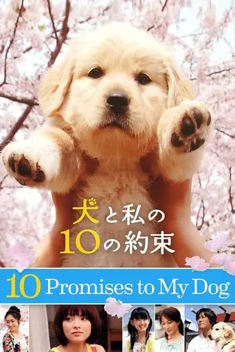 10 Promises to My Dog (2008)