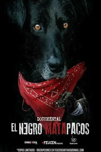 Matapaco (2013)