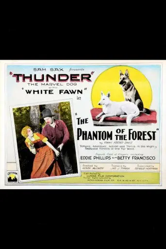 The Phantom of the Forest (1926)