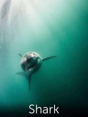 Shark: Beneath the Surface (2015)