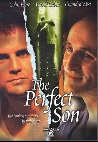 The Perfect Son (2000)