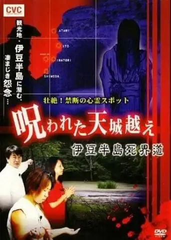 Intense! Forbidden Haunted Spots - The Cursed Crossing of Mount Amagi: Izu Peninsula Death Realm Road (2008)