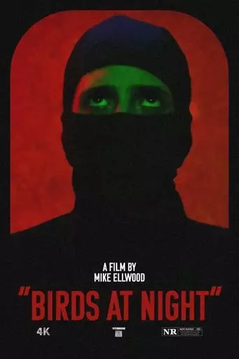 Birds At Night (2024)