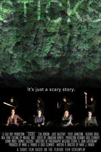 Sticks (2016)