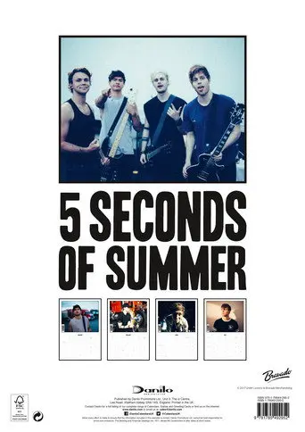 5 Seconds of Summer - Rock in Rio Ao Vivo (2017)