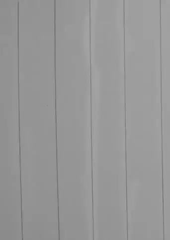 Tarian Garis (Dance Of Lines) (2018)